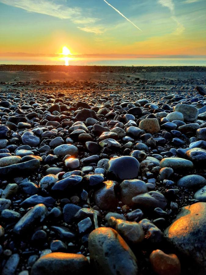 Oceanfront Paradise Comox Εξωτερικό φωτογραφία