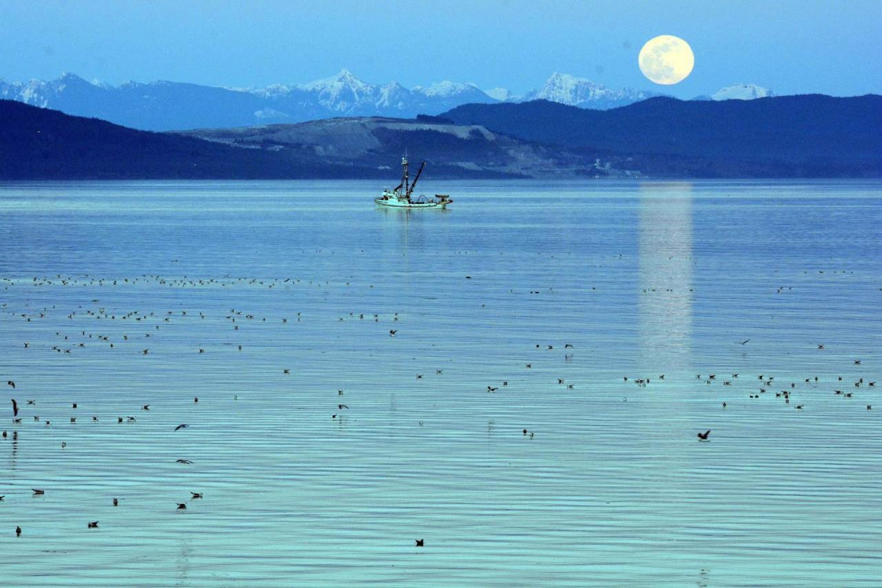 Oceanfront Paradise Comox Εξωτερικό φωτογραφία