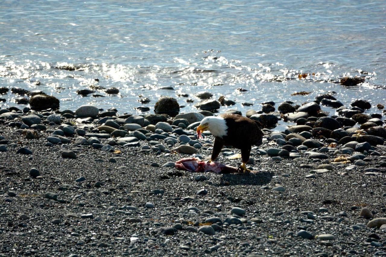 Oceanfront Paradise Comox Εξωτερικό φωτογραφία