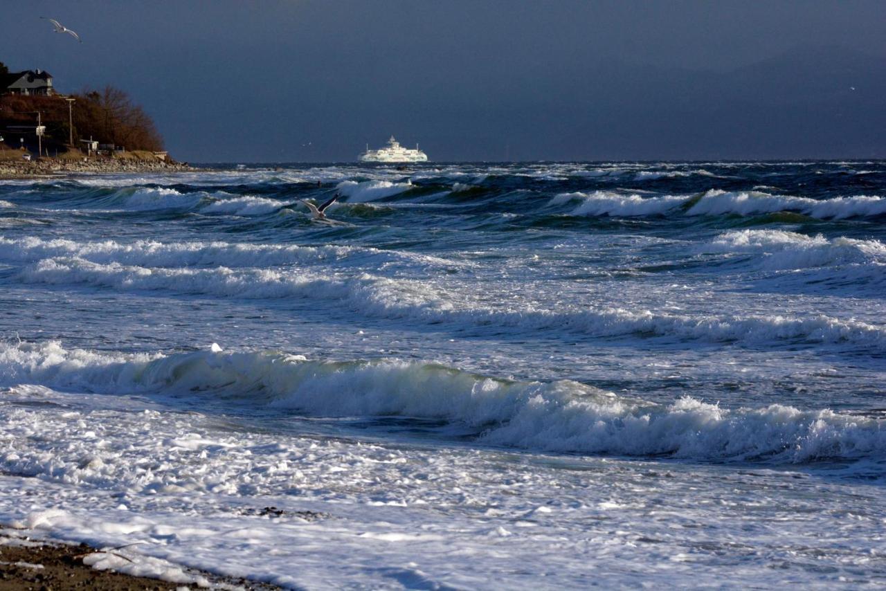 Oceanfront Paradise Comox Εξωτερικό φωτογραφία